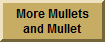 Mulletus Shitueous